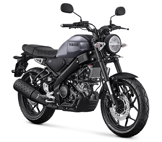Yamaha XSR - Image 3